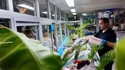 Kaliteli balığın adresi Düden Balık Çarşısı